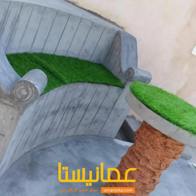 صورة 6