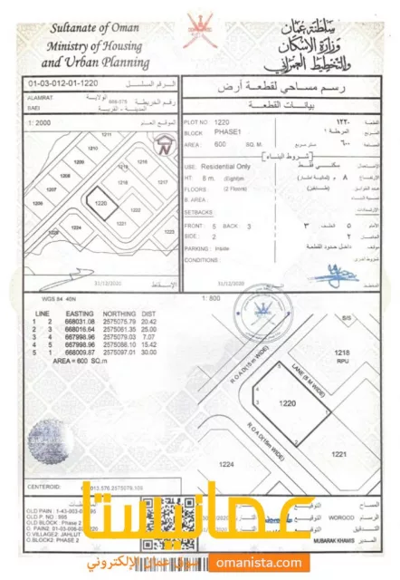 صورة 3