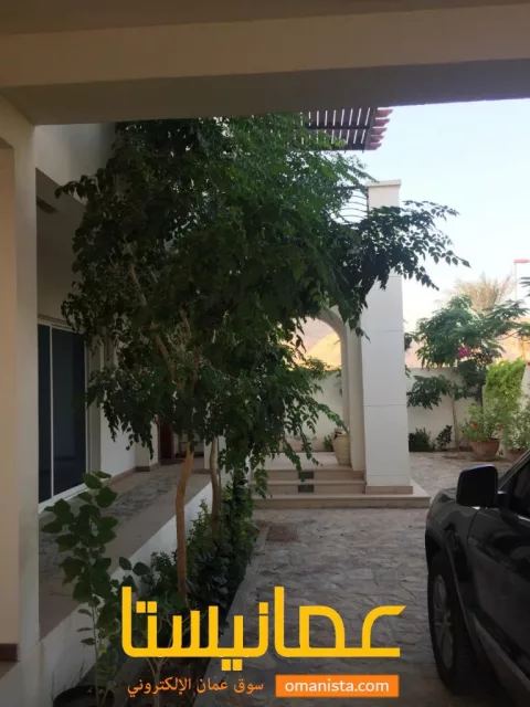 صورة 6