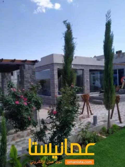 صورة 2