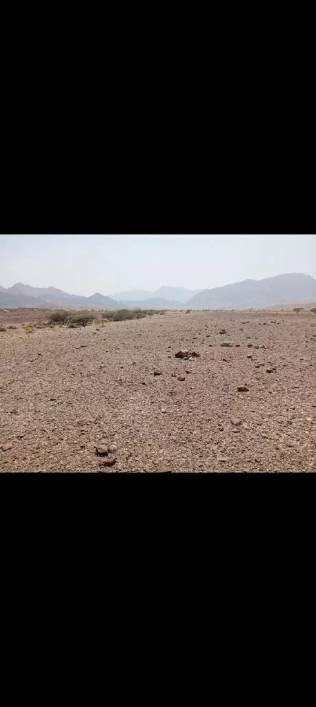 للبيع أرض سكنية في العامرات الامتداد الاول سوبر كورنر