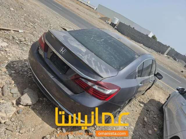 صورة 7