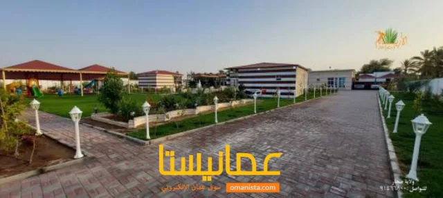 صورة 9