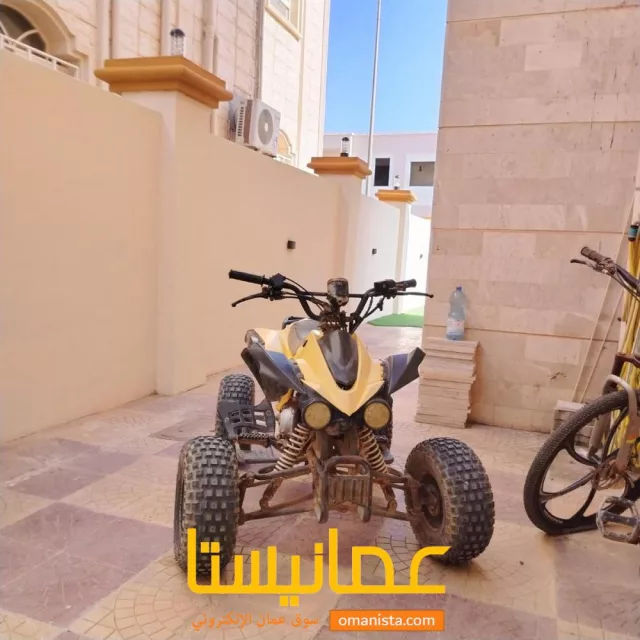 صورة 2