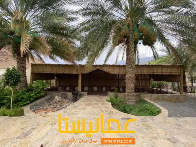 صورة 1