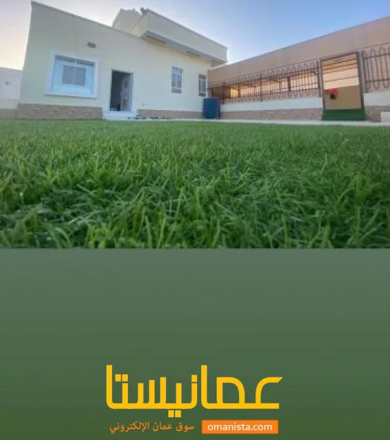صورة 4