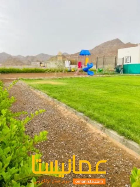 صورة 8