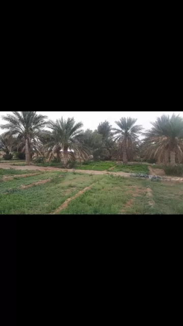 صورة 4