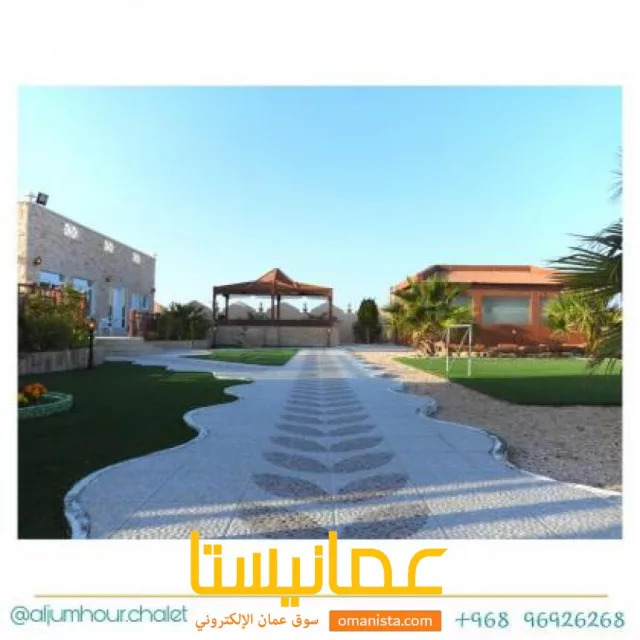 صورة 8