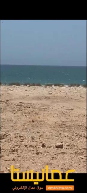 صورة 2
