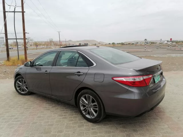 صورة 6