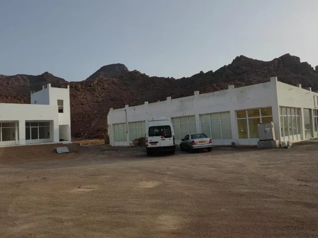 صورة 2