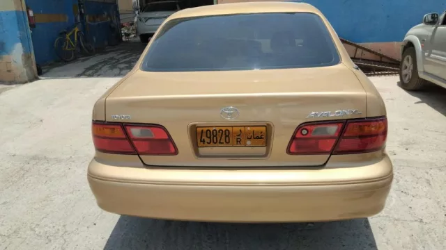 صورة 2