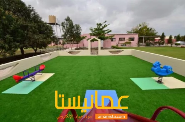 صورة 2