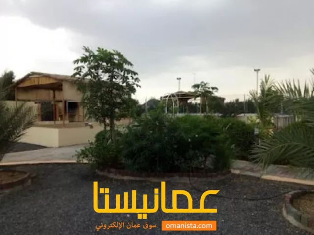 صورة 2