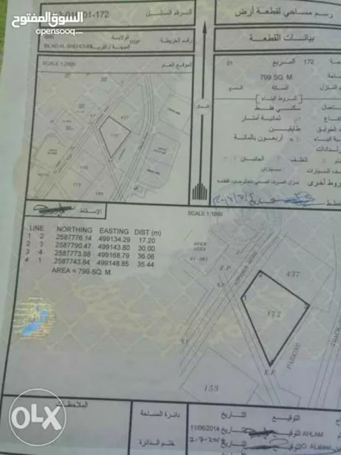 صورة 7