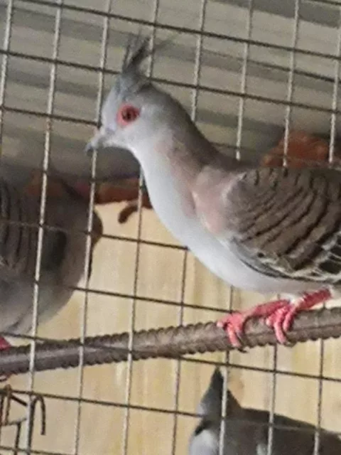 صورة 3