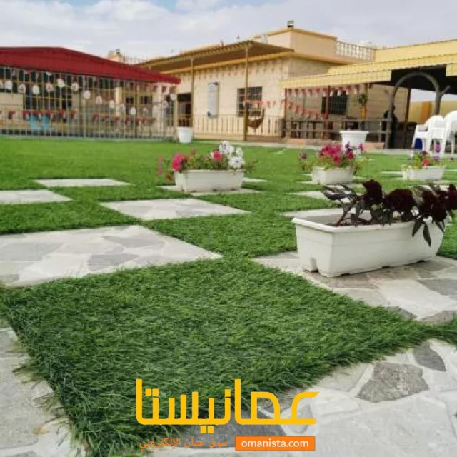 صورة 6
