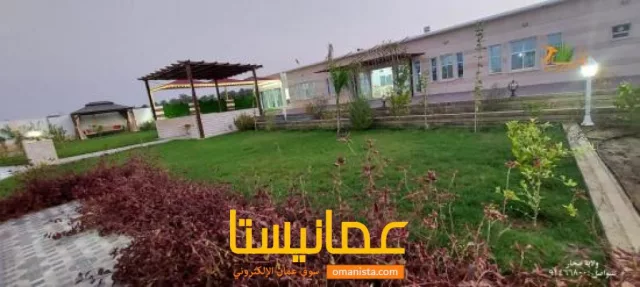 صورة 7