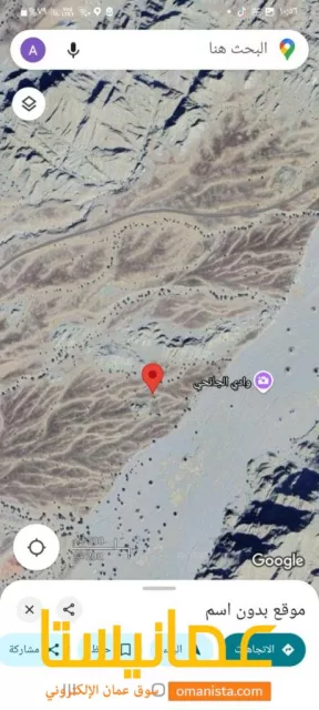 صورة 3
