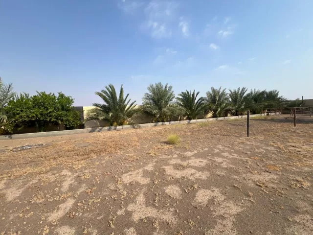 صورة 9