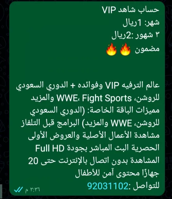 صورة 2