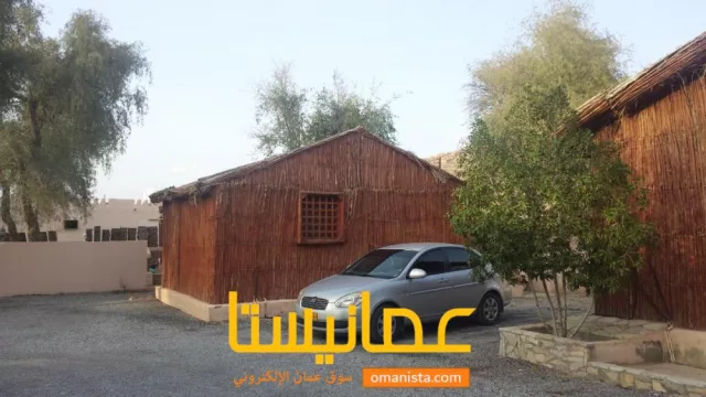 صورة 5