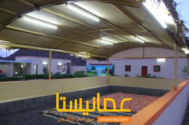 صورة 8