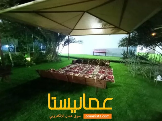 صورة 7