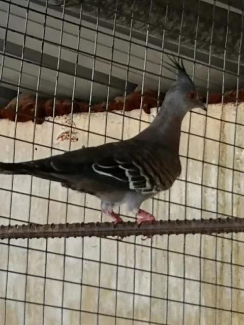 صورة 9