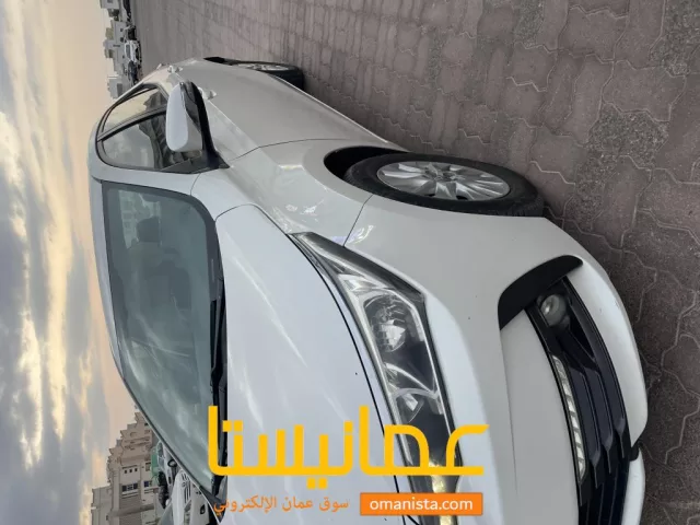 صورة 3