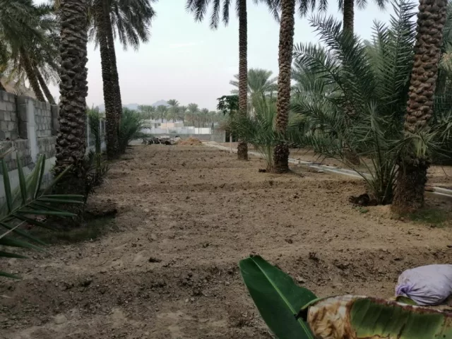 صورة 7