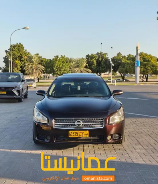 صورة 3