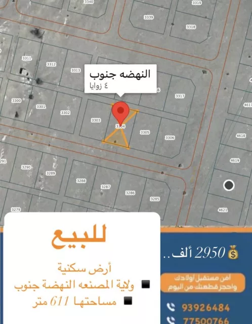 صورة 2