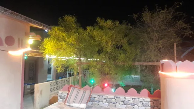 صورة 2