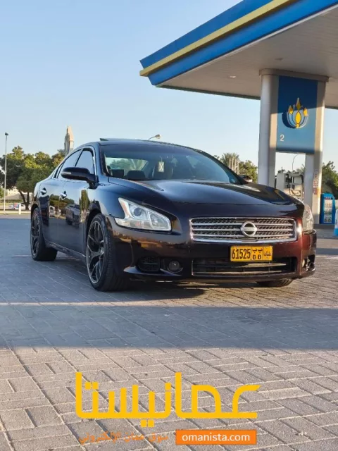 صورة 2