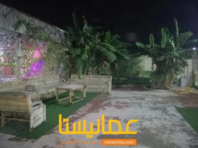 صورة 3