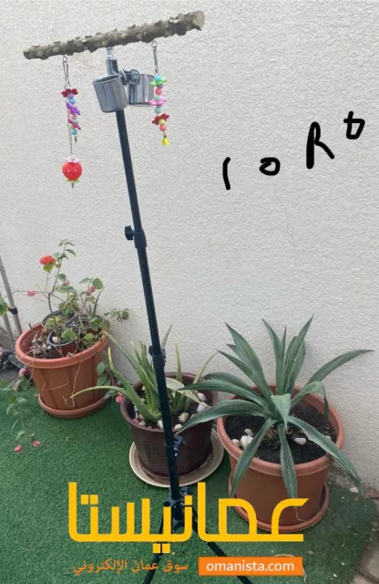 اغراض ببغاء