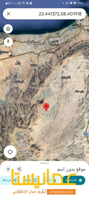 صورة 3