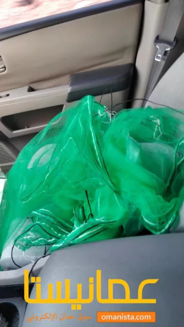 بيع بندل حشائش للحيونات