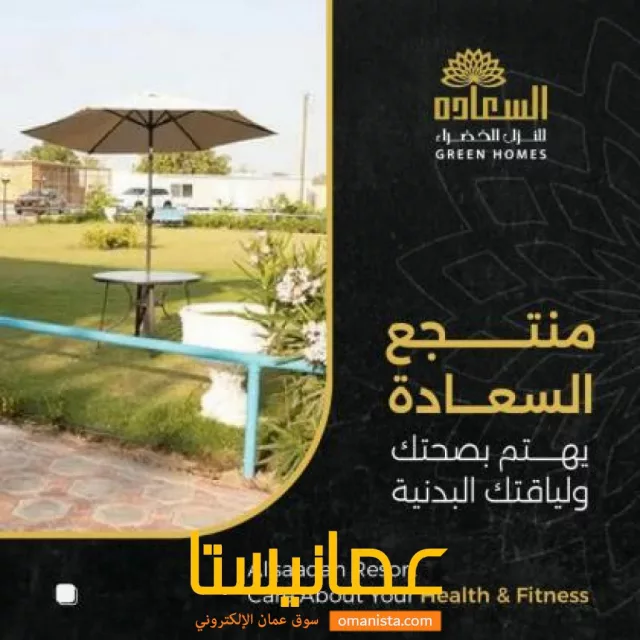صورة 10