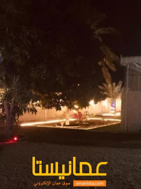 صورة 4