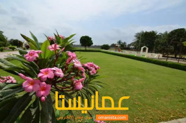 صورة 4