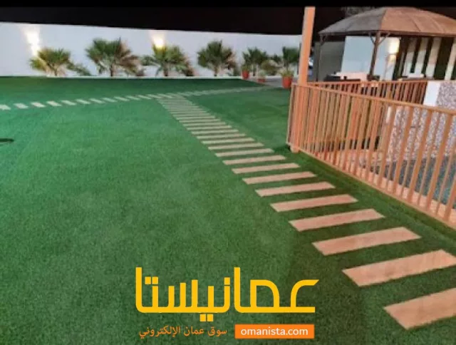 صورة 6