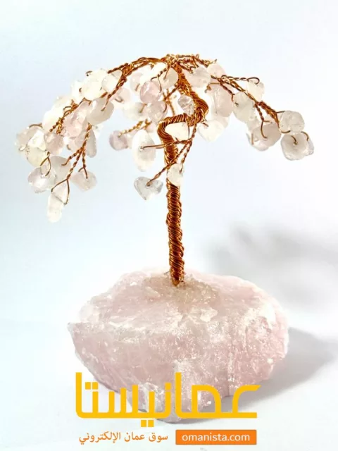 صورة 2