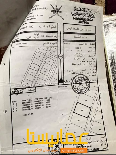 صورة 3