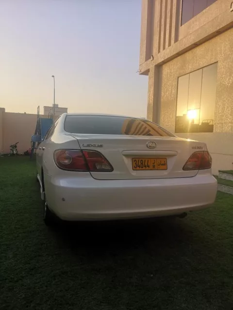 صورة 9