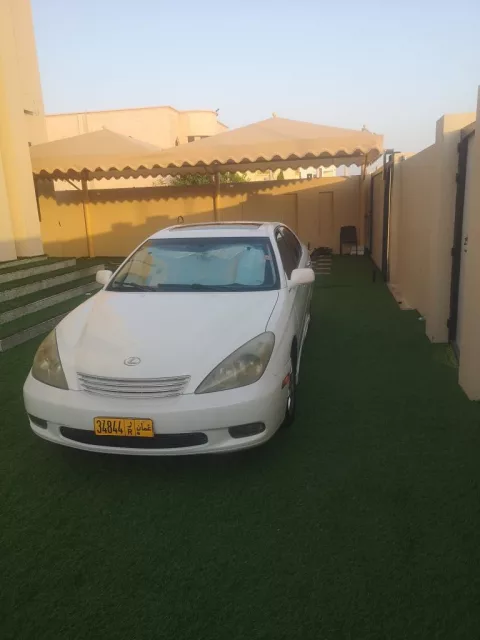 صورة 2