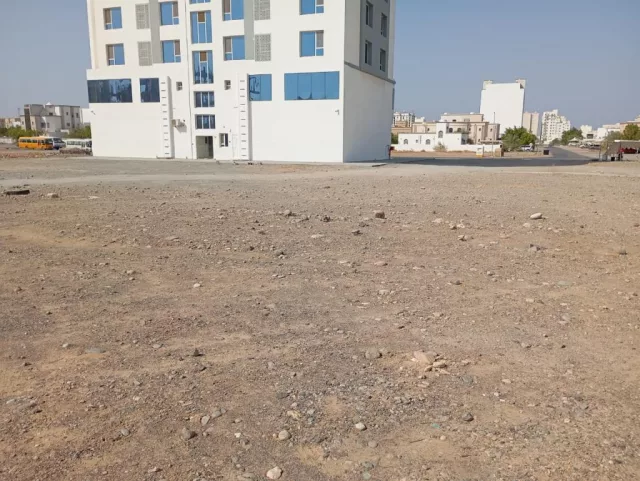 صورة 2