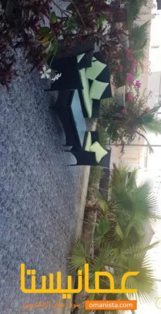 صورة 2